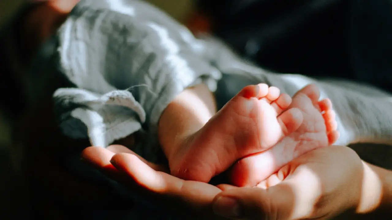 El programa municipal busca ampliar su cobertura para que más madres de Tequisquiapan tengan acceso a los apoyos alimentarios. - Money Querétaro apoyos a mujeres embarazadas y con bebes en Tequisquiapan